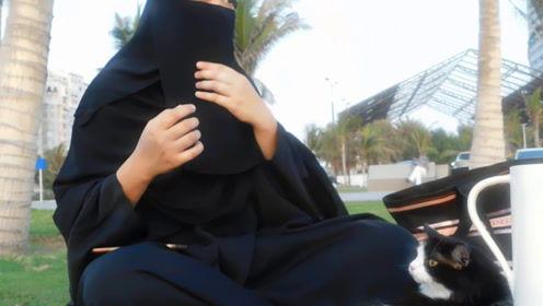 娱乐吃瓜君lisa,揭秘娱乐圈幕后故事